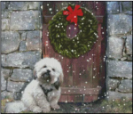 (image for) Lhasa Apso in the Snow